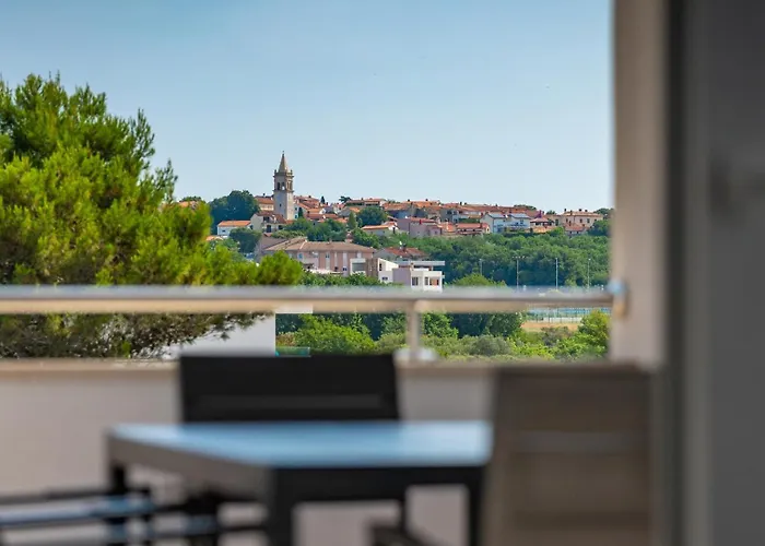 Zdenka With Common Pool Medulin