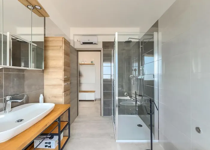 Zdenka With Common Pool Medulin